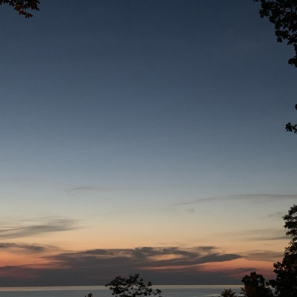 Meet your Posher, Indra - Picture 1 of 1